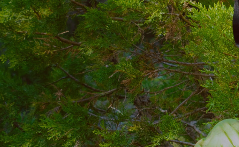 banner-nemate-vybavenie