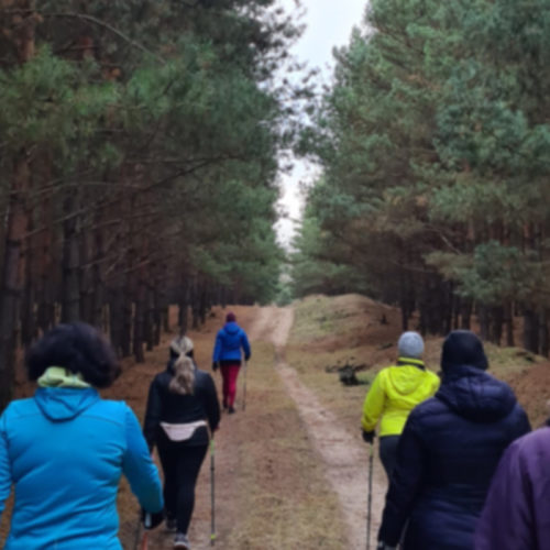 forest-walking-hlavny-obrazok